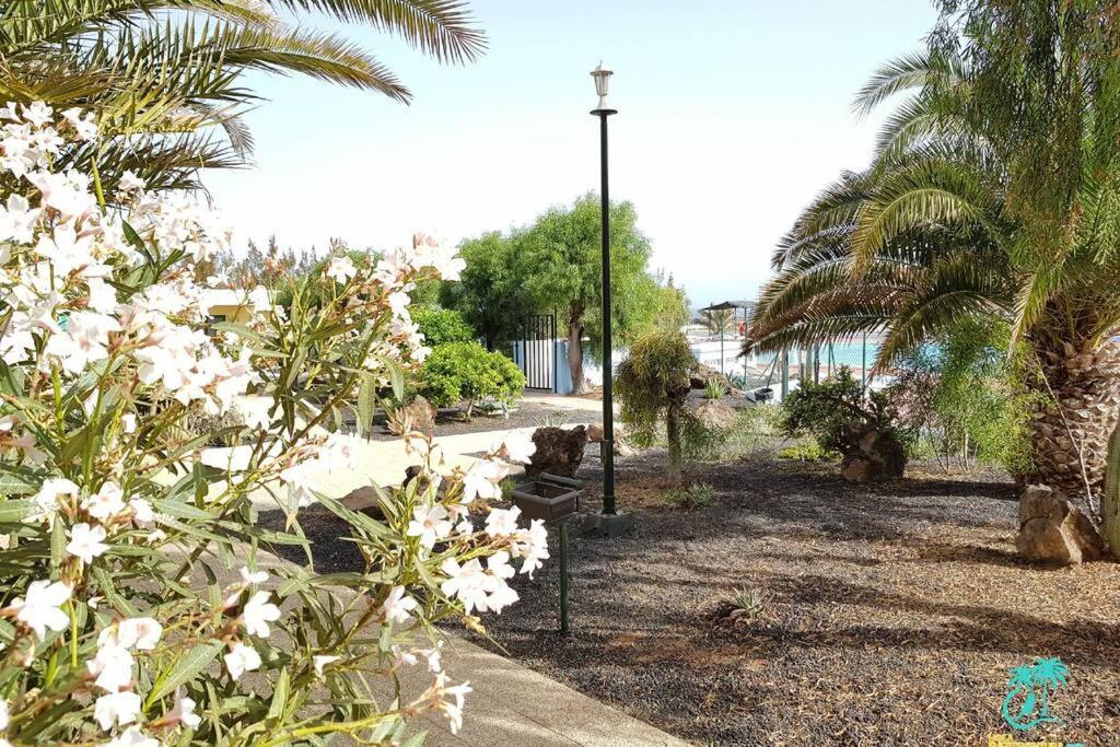 קוסטה דה אנטיגואה Appartement Bouganville Rez-De-Chaussee Wifi מראה חיצוני תמונה
